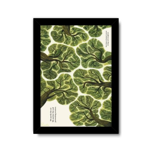 تابلو تکی راویتا طرح درختان باشکوه جنگل - Magnificent Trees of the forest کد 3687