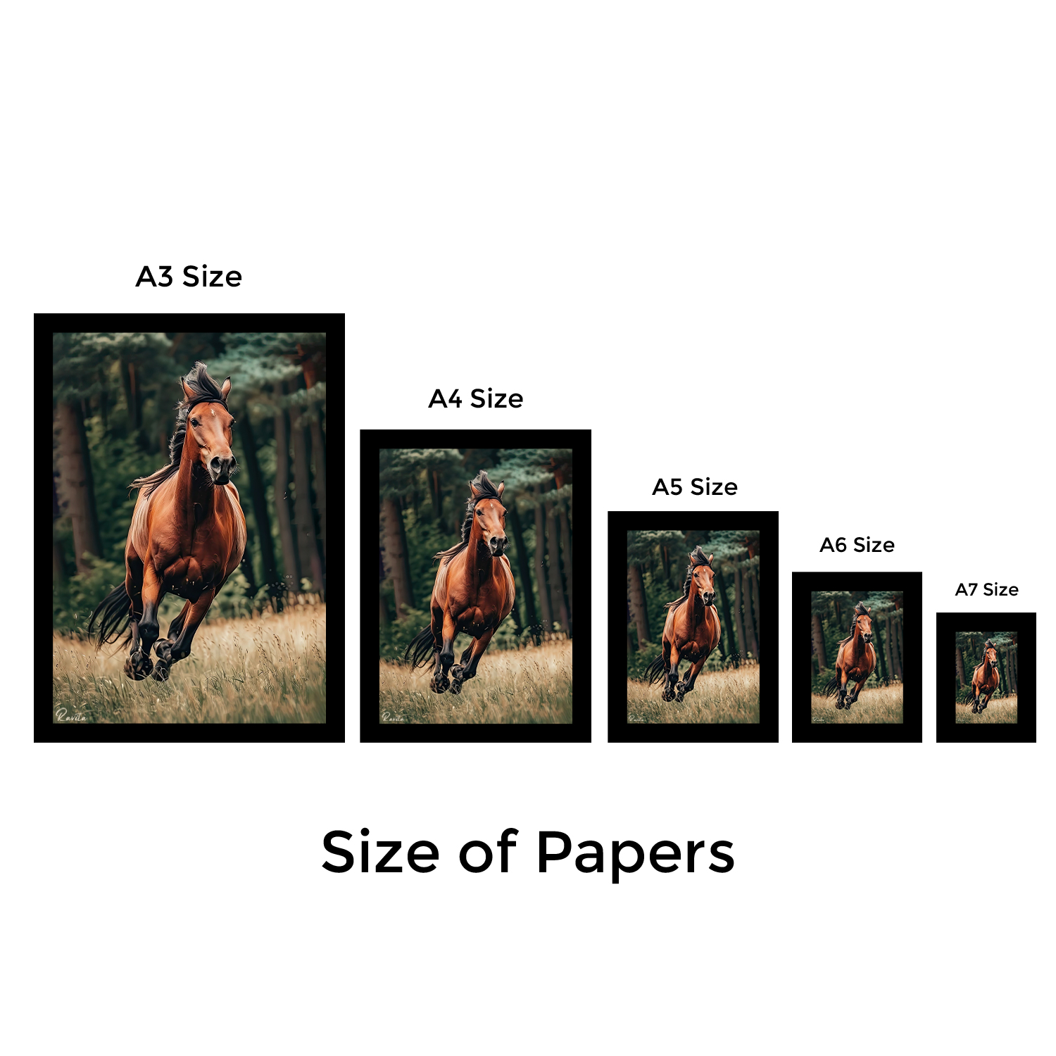 تابلو تکی راویتا طرح اسب قهوه ایی - Brown Horse کد 3682 تابلو تکی راویتا طرح اسب قهوه ایی - Brown Horse کد 3682
