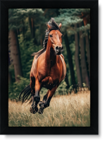 تابلو تکی راویتا طرح اسب قهوه ایی – Brown Horse کد 3682