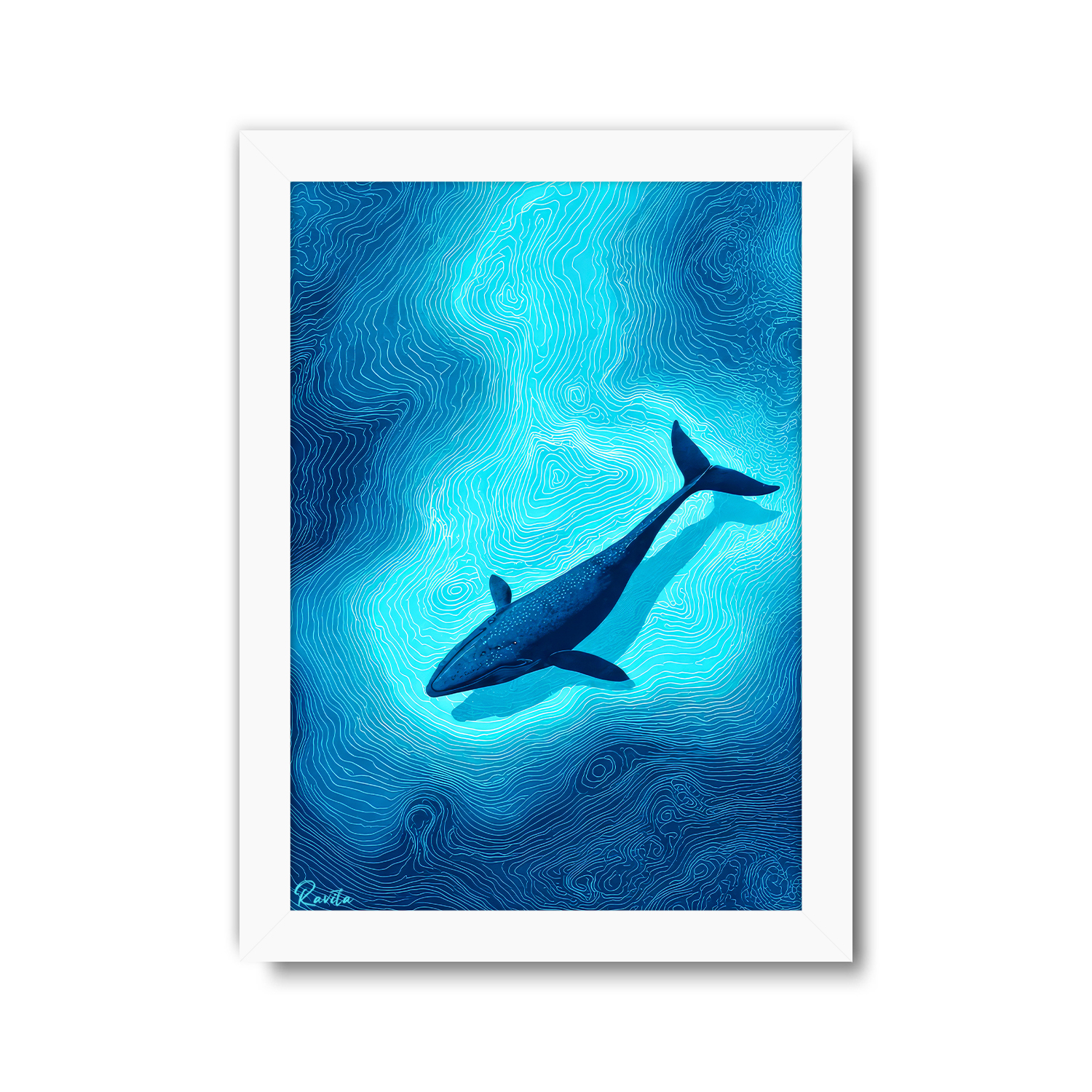 تابلو تکی راویتا طرح نهنگ آبی در اعماق اقیانوس - Blue Whale in the Deep Ocean کد 3961 تابلو تکی راویتا طرح نهنگ آبی در اعماق اقیانوس - Blue Whale in the Deep Ocean کد 3961