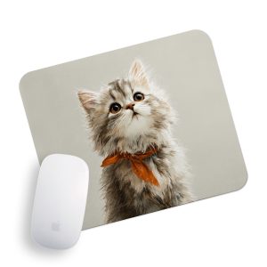 تابلو تکی راویتا طرح گربه پشمالو با پاپیون نارنجی - Fluffy Cat with Orange Bow کد 3937 تابلو تکی راویتا طرح گربه پشمالو با پاپیون نارنجی - Fluffy Cat with Orange Bow کد 3937